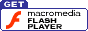 Flash Player